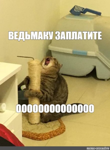 Орущий кот Мем