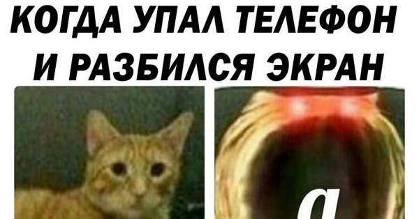 Глубокий вздох кот