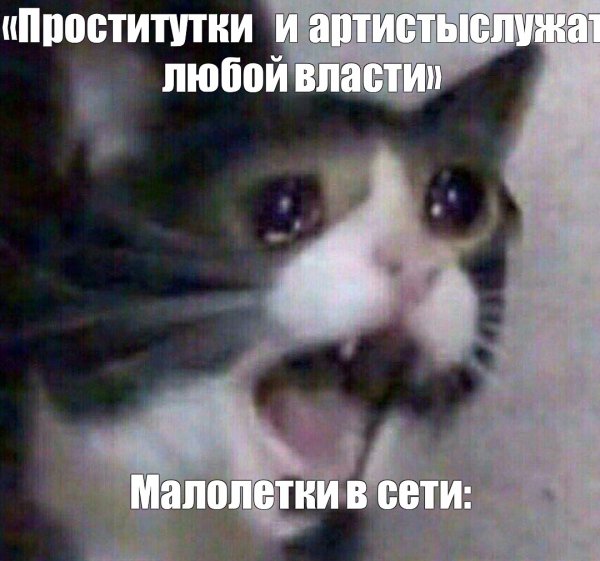 Орущий котик Мем