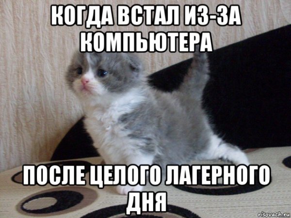 Когда встал вопрос