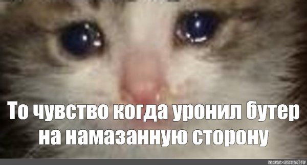 Кот с заплаканными глазами