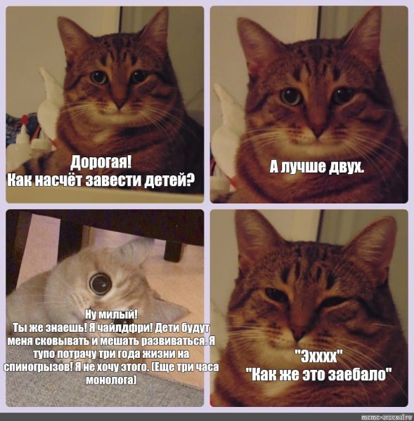 Кот из Шрека скучаю