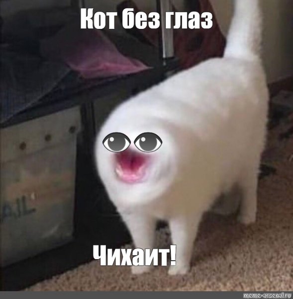 Тупые котята маленькие