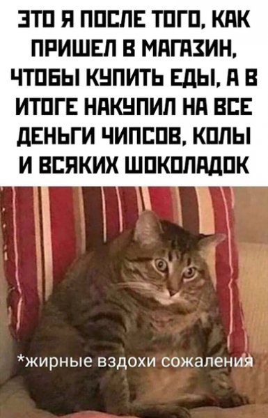 Мем кот жирные вздохи
