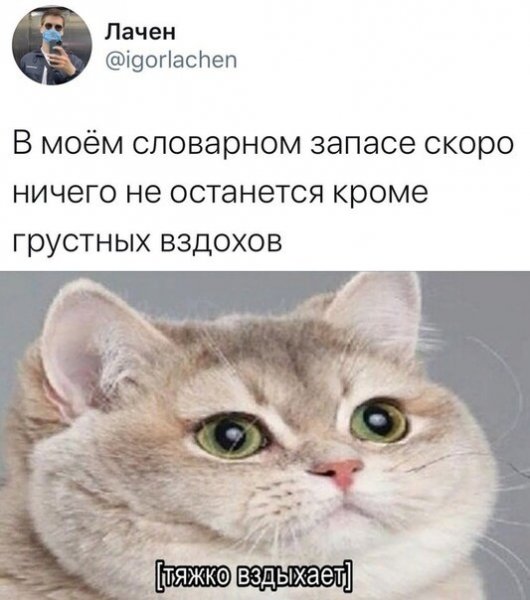 Жирные вздохи сожаления