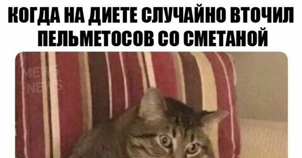 Жирные вздохи сожаления