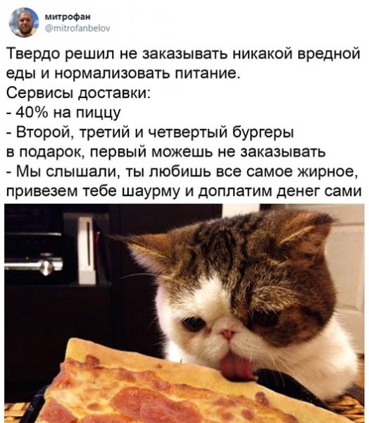 Жирные вздохи сожаления