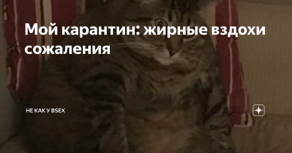Жирные вздохи сожаления