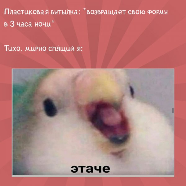 Жирные вздохи сожаления