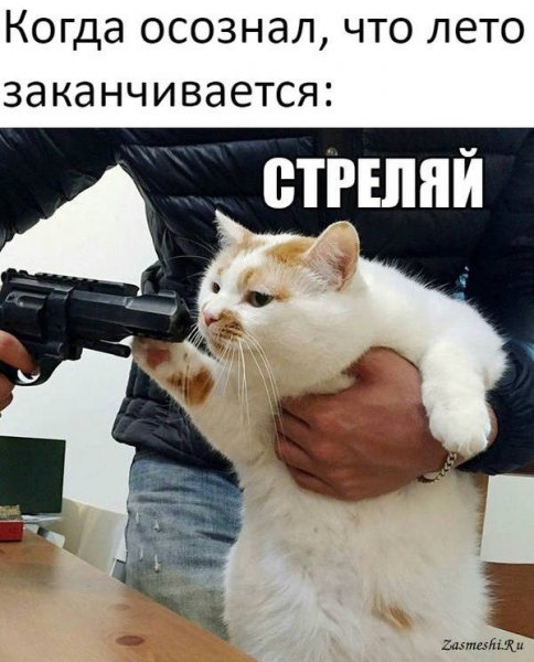 Мем стреляй не отдам шаблон