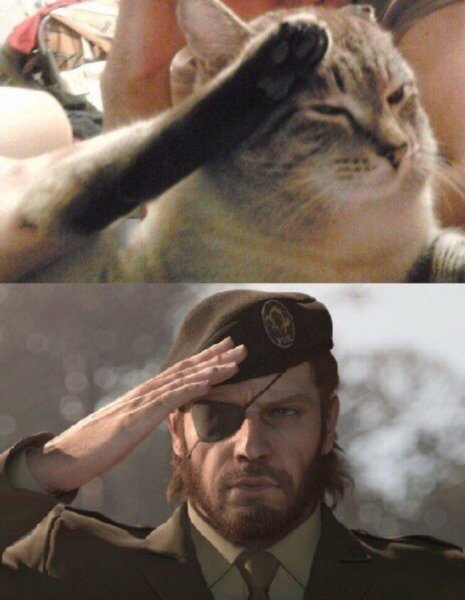 Отдать честь