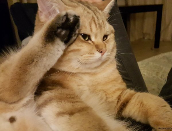 Мое уважение
