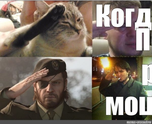 Кот честь Мем