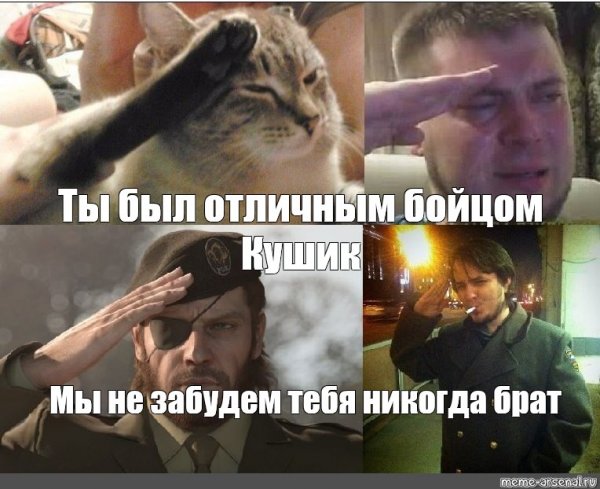 Кот отдает честь Мем СССР