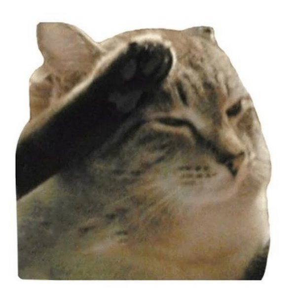 Meme Cats мемы котов