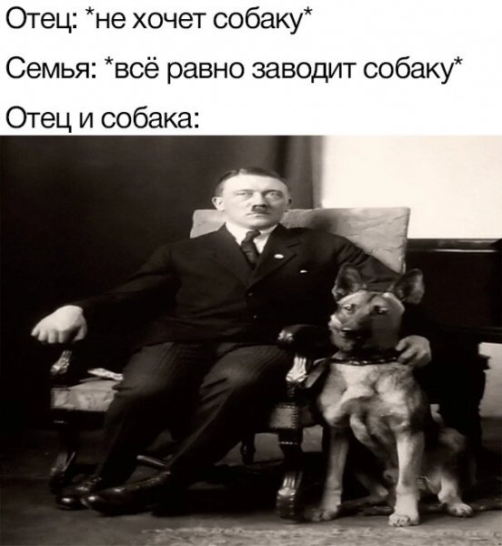 Отец не хочет собаку