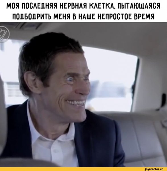 Последняя нервная клетка Мем
