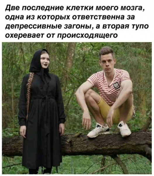 Моя последняя нервная клетка