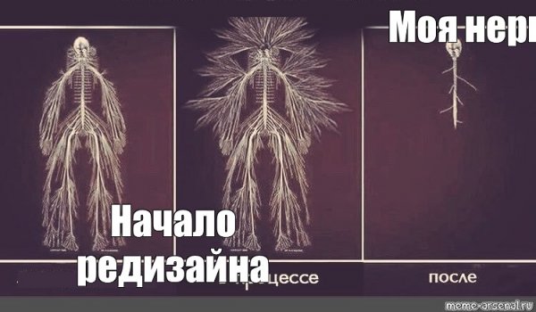Нервная система до и после