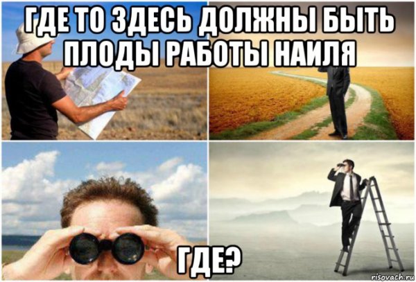 Мемы про поиск