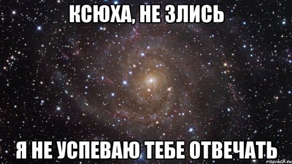 Ксюха Ксюха