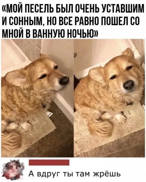 Популярный Мем