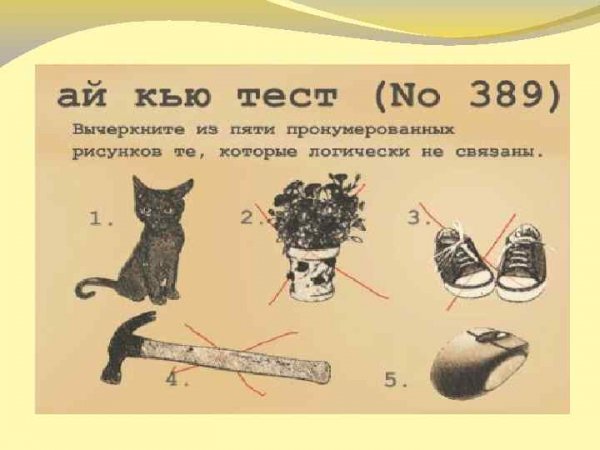 Тест айкью показатели