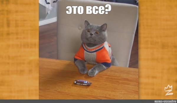 Мемы 2021 года с котиками