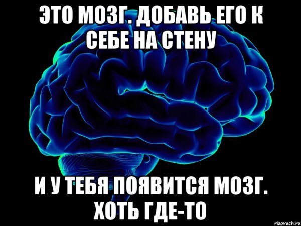 Без мозгов