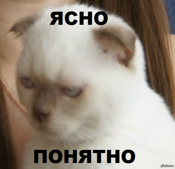 Понятно картинки