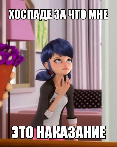 Леди баг мемы