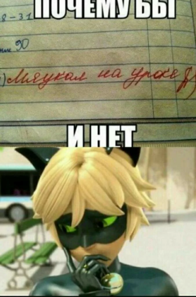 Леди баг мемы