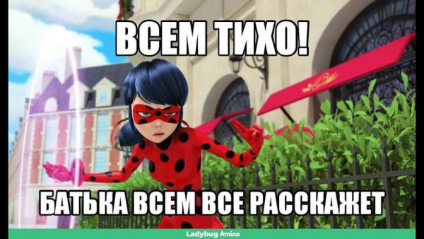 Леди баг мемы