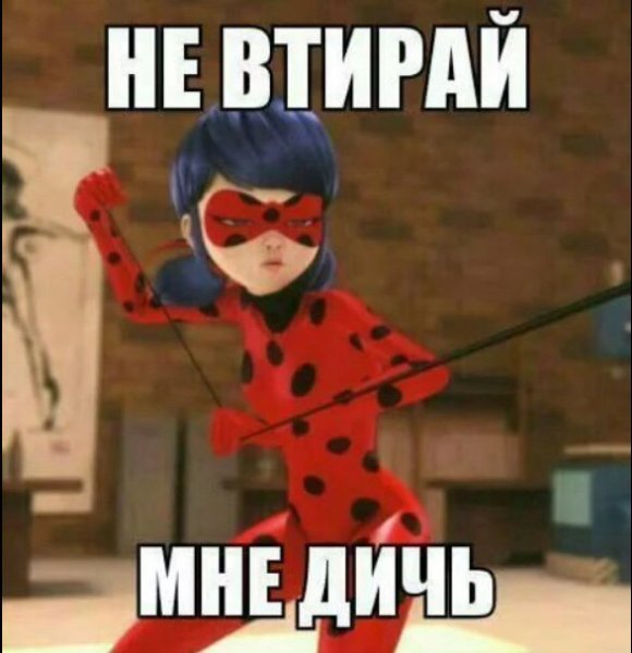 Супер кот мемы