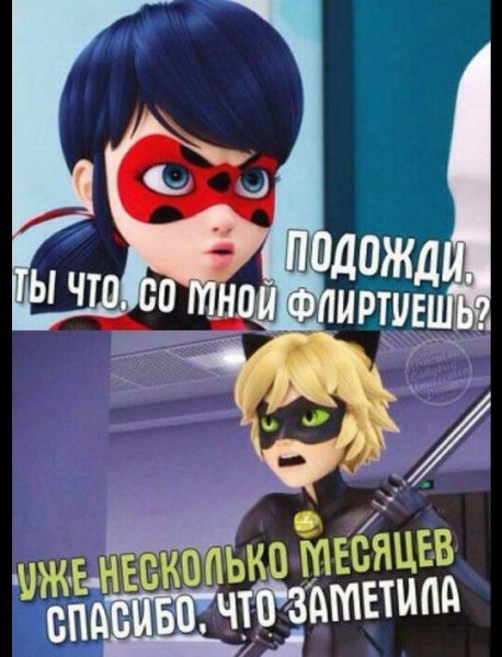 Леди баг мемы