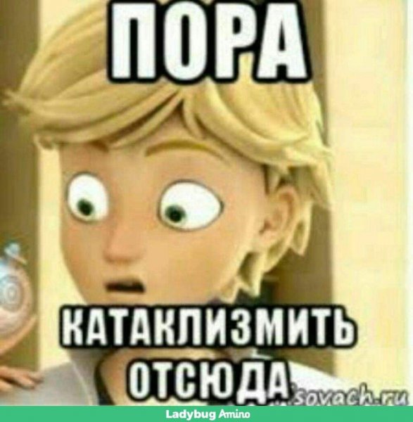 Леди баг Адриан Мем