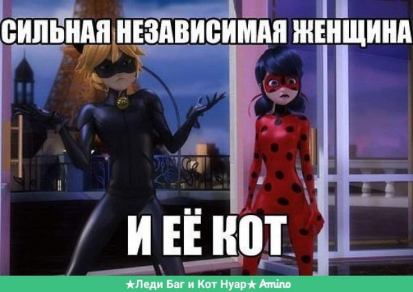 Леди баг мемы