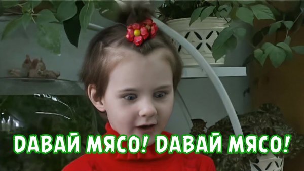 Мем давай мясо