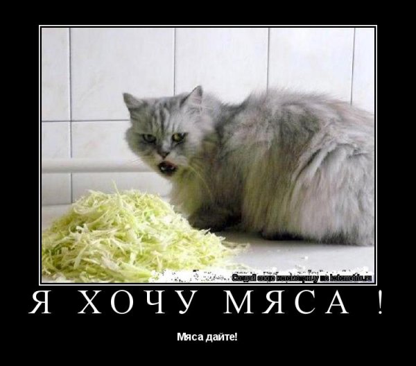 Давай мясо девочка