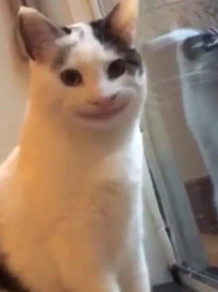 Кот улыбается Мем