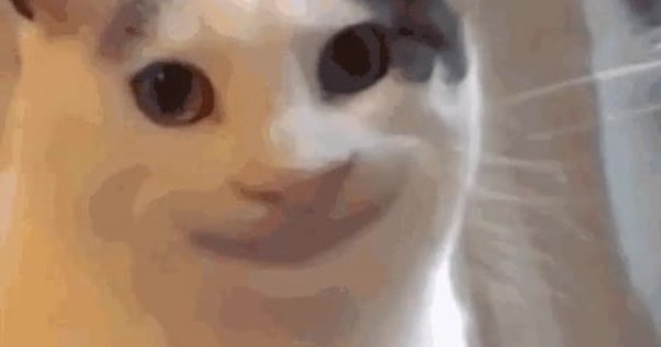 Кот с человеческой улыбкой