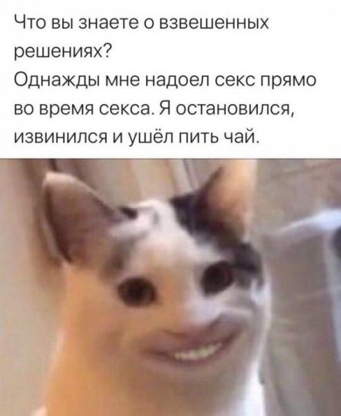 Кот с человеческими зубами Мем