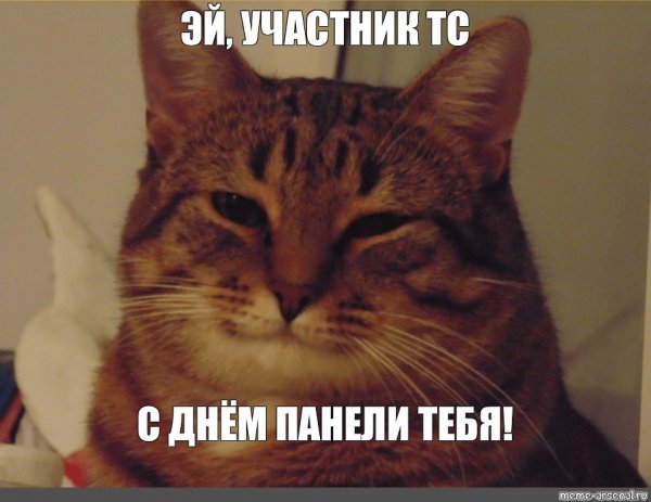 Рыжий кот из мема улыбается