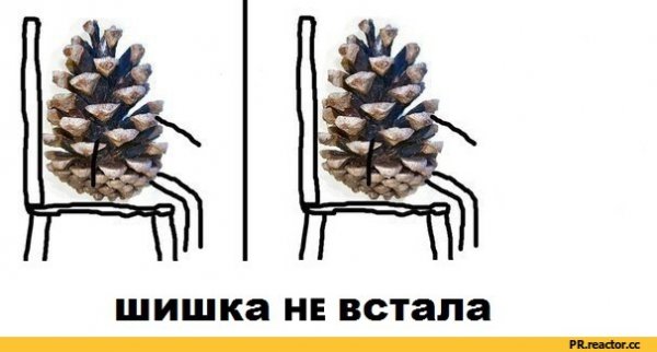 Шишка встала картинка
