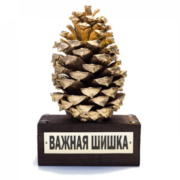 Большая шишка сувенир