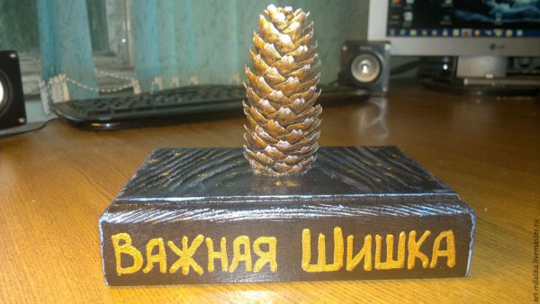 Большая шишка сувенир