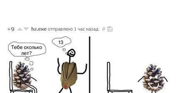 Шутки про шишки
