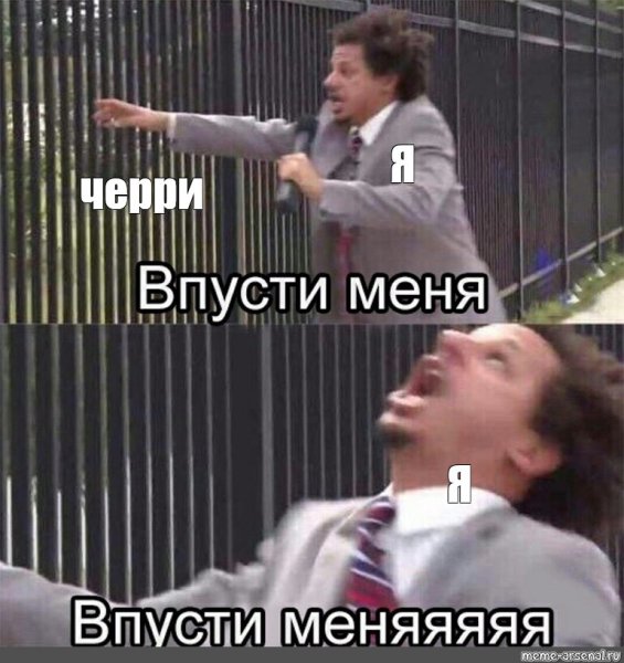 Впусти меня Мем