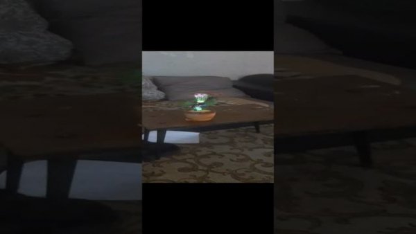 Орущий кот в наушниках