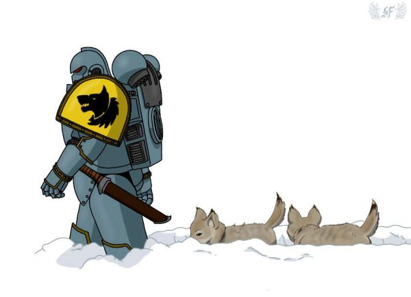 Warhammer 40 мемы